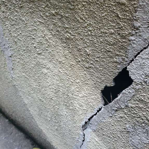 【シロアリ駆除】外壁診断で白蟻被害を発見！塗装前の緊急対応（千葉県市川市）