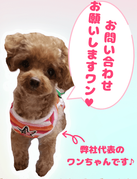 遠藤建装